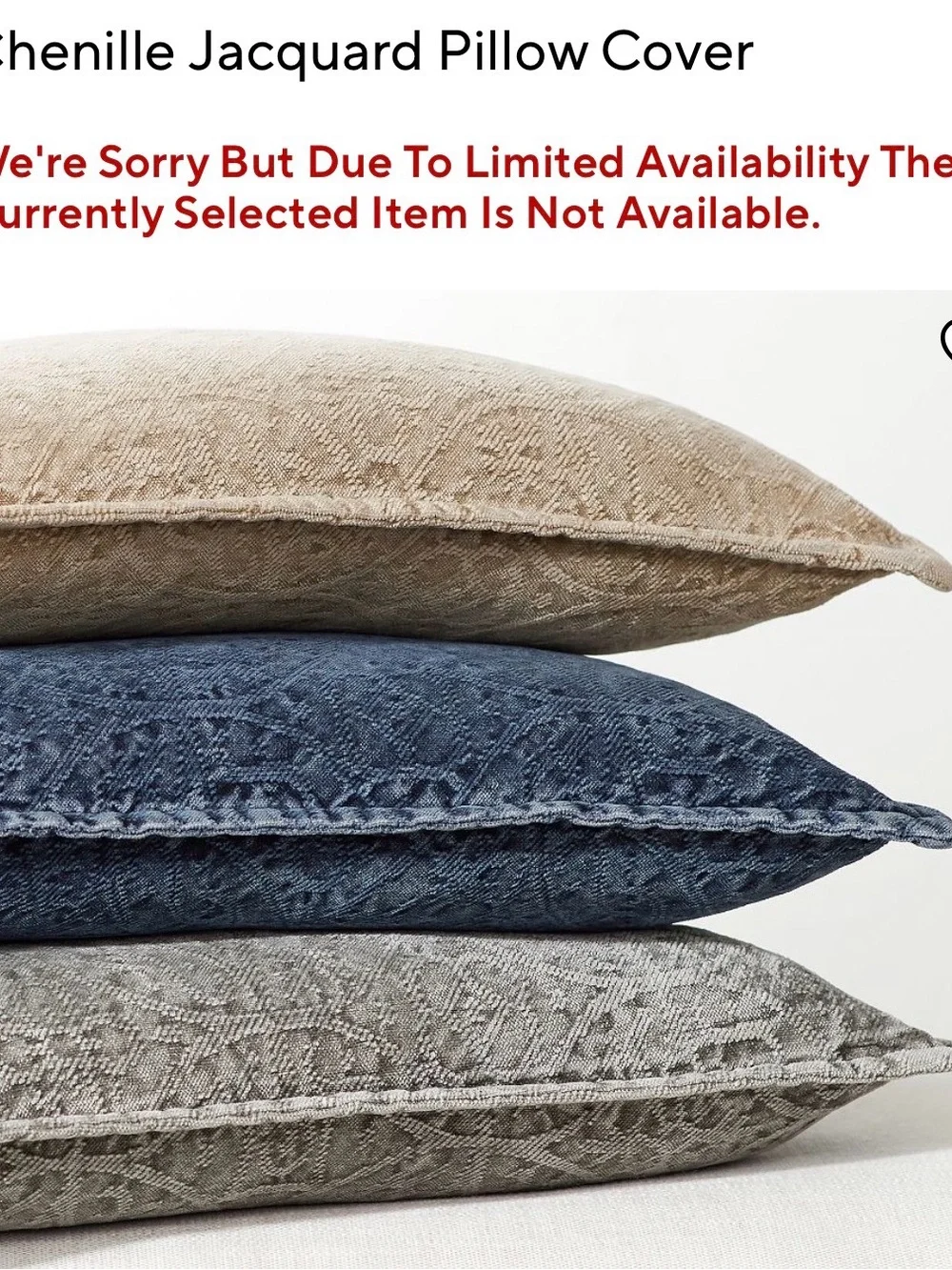Pottery Barn Chenille Jaquard pillow cover and interior pillow